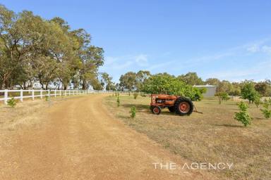 Acreage/Semi-rural For Sale - WA - Bakers Hill - 6562 - "Much More on Glenmore"! (Image 2)