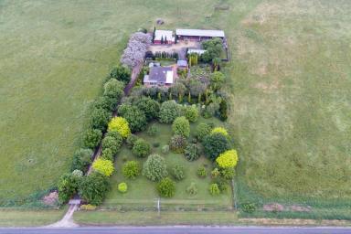 Mixed Farming For Sale - VIC - Boisdale - 3860 - Versatile 4 bedroom brick home on 43.29 ac of prime irrigation land with mountain views  (Image 2)