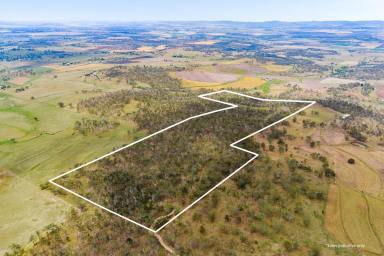 Lifestyle For Sale - QLD - Southbrook - 4363 - Build your dream home here (Image 2)