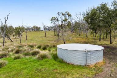 Lifestyle For Sale - QLD - Southbrook - 4363 - Build your dream home here (Image 2)