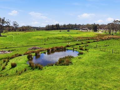 House For Sale - TAS - Exeter - 7275 - Charming Rural Lifestyle Property - 3-Bedroom Home on 8.176 Hectares  (Image 2)