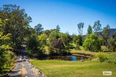 Acreage/Semi-rural For Sale - NSW - Quaama - 2550 - SPACE, PRIVACY & VILLAGE CHARM (Image 2)