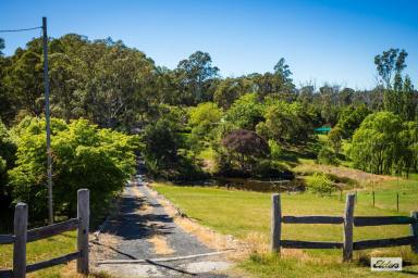 Acreage/Semi-rural For Sale - NSW - Quaama - 2550 - SPACE, PRIVACY & VILLAGE CHARM (Image 2)