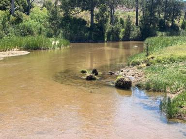 Lifestyle For Sale - NSW - Baerami - 2333 - IDEAL RURAL LIFESTYLE  (Image 2)