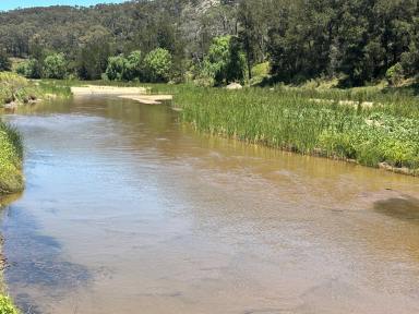 Lifestyle For Sale - NSW - Baerami - 2333 - IDEAL RURAL LIFESTYLE  (Image 2)