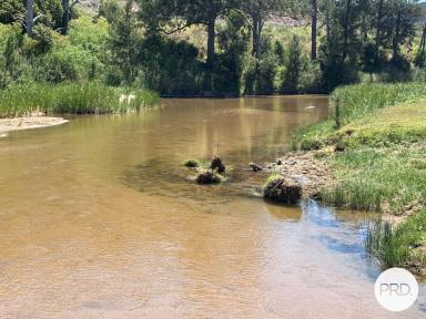 Lifestyle For Sale - NSW - Baerami - 2333 - IDEAL RURAL LIFESTYLE (Image 2)