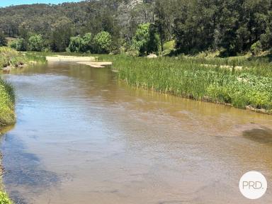 Lifestyle For Sale - NSW - Baerami - 2333 - IDEAL RURAL LIFESTYLE (Image 2)