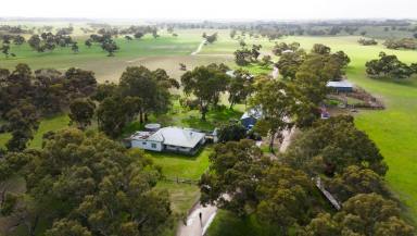 Cropping For Sale - SA - Tintinara - 5266 - A Versatile Irrigation Opportunity supporting Grazing and Fodder Production (Image 2)