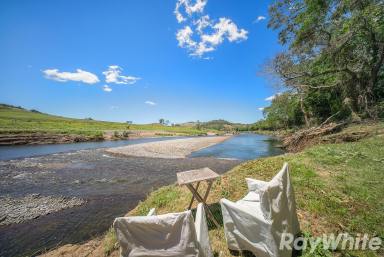 Lifestyle Auction - NSW - Callaghans Creek - 2422 - Where Mustering & Fishing are the Order of the Day  (Image 2)