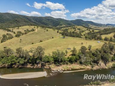 Lifestyle Auction - NSW - Callaghans Creek - 2422 - Where Mustering & Fishing are the Order of the Day  (Image 2)
