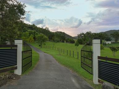 House For Lease - QLD - Highvale - 4520 - "A Bygone era of Sophistication Awaits you"  (Image 2)