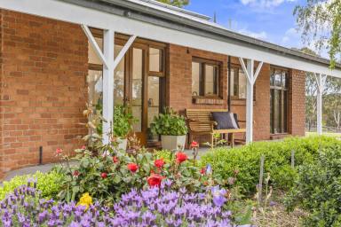 House For Sale - VIC - Durham Lead - 3352 - Superb Lifestyle Property With Elevated Views  (Image 2)