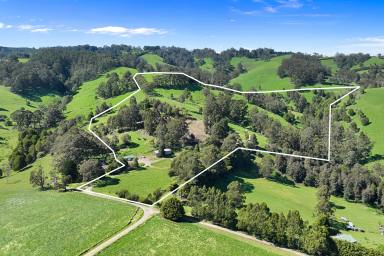 Mixed Farming For Sale - VIC - Ellinbank - 3821 - Lifestyle • Location • Affordability • Be Your Own Boss  (Image 2)