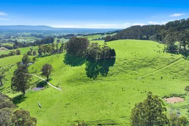 Mixed Farming For Sale - VIC - Ellinbank - 3821 - Complete Lifestyle Property in Blue-Chip Ellinbank - Be Your Own Boss  (Image 2)