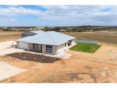 Acreage/Semi-rural For Sale - SA - Mannum - 5238 - Quite Possibly the Perfect Recreational Lifestyle Property  (Image 2)