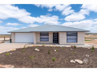 Acreage/Semi-rural For Sale - SA - Mannum - 5238 - Quite Possibly the Perfect Recreational Lifestyle Property (Image 2)
