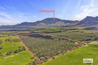Other (Rural) For Sale - VIC - Pomonal - 3381 - Lifestyle Acreage with Spectacular Grampians Views – Approx. 125 Acres  (Image 2)