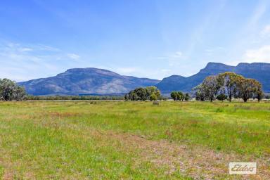 Other (Rural) For Sale - VIC - Pomonal - 3381 - Lifestyle Acreage with Spectacular Grampians Views – Approx. 125 Acres  (Image 2)