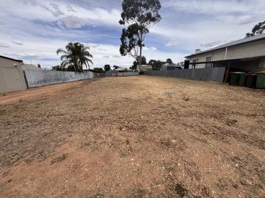 Residential Block For Sale - VIC - Ouyen - 3490 - Build today or 'land bank' for tomorrow!  (Image 2)