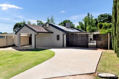 House For Sale - VIC - Irymple - 3498 - Updated home + entertaining + solar + shedding! (Image 2)