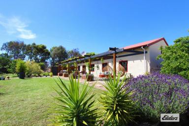 Acreage/Semi-rural For Sale - VIC - Ravenswood - 3453 - UNIQUE MEDITERRANEAN VILLA ON 19.6 ACRES  (Image 2)
