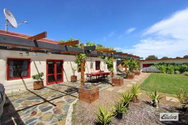 Acreage/Semi-rural For Sale - VIC - Ravenswood - 3453 - UNIQUE MEDITERRANEAN VILLA ON 19.6 ACRES  (Image 2)