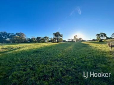 Residential Block For Sale - NSW - Inverell - 2360 - Build Without Compromise in Blue-Ribbon Osterley Terrace  (Image 2)