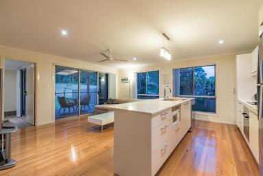 House For Lease - QLD - Cooroy - 4563 - `Modern Elevated Living in the Heart of Cooroy  (Image 2)