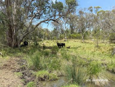 Mixed Farming For Sale - NSW - Inverell - 2360 - 'SANDY CREEK' - PRODUCTIVE GRAZING & CROPPING  (Image 2)