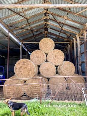 Mixed Farming For Sale - NSW - Inverell - 2360 - 'SANDY CREEK' - PRODUCTIVE GRAZING & CROPPING  (Image 2)