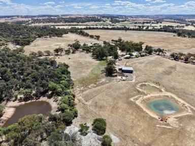 Mixed Farming For Sale - WA - Dale - 6304 - Charming Homestead in the Dale 150.92ha (372 acres) (Image 2)