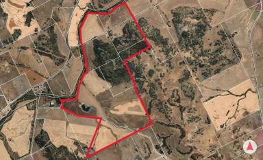 Mixed Farming For Sale - WA - Dale - 6304 - Dale River District Holding – Rural Productivity and Historic Charm - 377ha (Image 2)