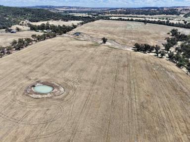 Mixed Farming For Sale - WA - Dale - 6304 - Dale River District Holding – Rural Productivity and Historic Charm - 377ha (Image 2)