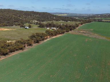 Mixed Farming For Sale - WA - Dale - 6304 - Dale River Farming Opportunity                                            377ha (932acres)  (Image 2)