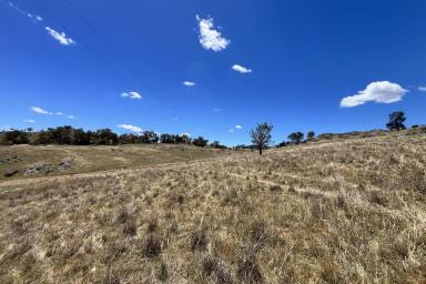 Lifestyle For Sale - NSW - Wyangala - 2808 - Picturesque 20acre* Lifestyle Rural Property, 6mins* to Wyangala Waters!  (Image 2)