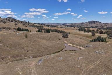 Lifestyle For Sale - NSW - Wyangala - 2808 - Picturesque 20acre* Lifestyle Rural Property, 10mins* to Wyangala Waters! (Image 2)