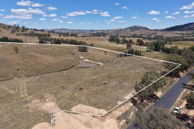 Lifestyle For Sale - NSW - Wyangala - 2808 - Picturesque 20acre* Lifestyle Rural Property, 10mins* to Wyangala Waters! (Image 2)