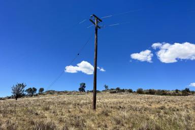 Lifestyle For Sale - NSW - Wyangala - 2808 - Picturesque 20acre* Lifestyle Rural Property, 10mins* to Wyangala Waters! (Image 2)