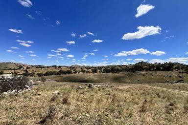 Lifestyle For Sale - NSW - Wyangala - 2808 - Picturesque 20acre* Lifestyle Rural Property, 6mins* to Wyangala Waters!  (Image 2)