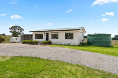 Lifestyle Auction - NSW - Crookwell - 2583 - A Lifestyle Escape on 30 Acres (Image 2)