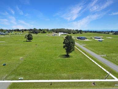 Residential Block For Sale - VIC - Lindenow South - 3875 - LARGE CORNER ALLOTMENT  (Image 2)