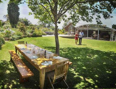 Business For Sale - SA - Adelaide - 5000 - Established SA Wine Tour Operator: 25+ Years, Branded Fleet & Growth Potential  (Image 2)