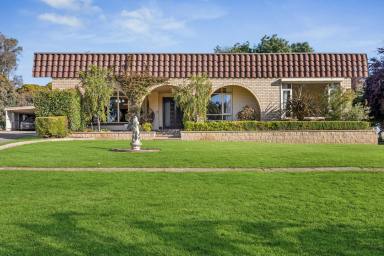 House For Sale - SA - Hahndorf - 5245 - A hilltop legacy where possibility and potential converge (Image 2)