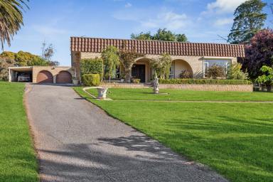 House For Sale - SA - Hahndorf - 5245 - A hilltop legacy where possibility and potential converge (Image 2)