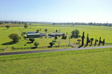 Mixed Farming For Sale - NSW - Yorklea - 2470 - A REAL STUNNER  (Image 2)