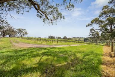 Acreage/Semi-rural For Sale - SA - Hahndorf - 5245 - 32 acre lifestyle / viticulture estate  (Image 2)