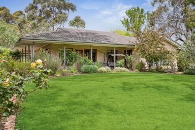 Acreage/Semi-rural For Sale - SA - Hahndorf - 5245 - 32 acre lifestyle / viticulture estate  (Image 2)