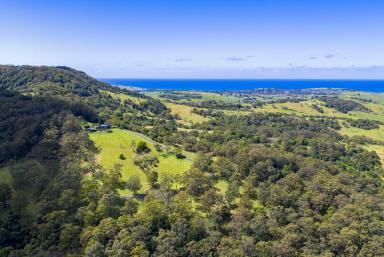 House Auction - NSW - Foxground - 2534 - 'Eagleview Park' - A Once-in-a-Lifetime and Farming Estate in Foxground (Image 2)