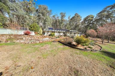 House For Sale - NSW - Batlow - 2730 - SNOWY MOUNTAINS RETREAT!  (Image 2)