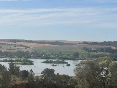 Residential Block For Sale - SA - Mannum - 5238 - Beautiful little acreage overlooking the river (Image 2)